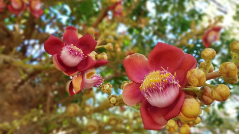 T'RUIH T'NGAY 12/7/2022