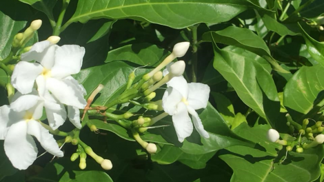 T'RUIH T'NGAY 12.8 2022