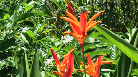 T'RUIH T'NGAY 13.8 2022