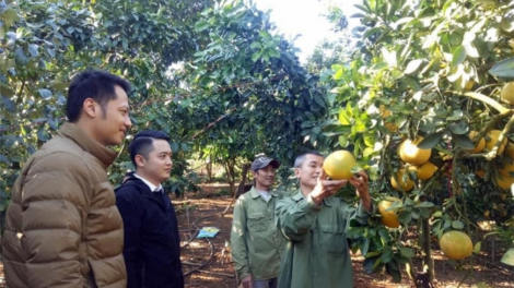 Bhrợ pa dưr ca van tơợ choh táo, pih bhung coh k’tiếc mốp