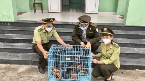 Thừa Thiên Huế: Muy bơr pr’loọng đha nuôr tươc đoọng 15 p’nong a đhăh dzăm ha cơ quan chức năng