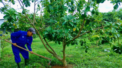 Đoàn viên pa dưr bh’nơơn zên vă ủy thác