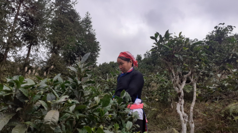 Thái Nguyên: Bh’nơơn liêm tơợ pazêng chính sách acoon coh