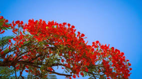 T’RUIH T’NGAY3/5/2022