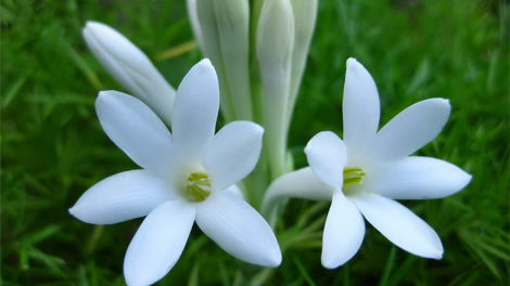 T’RUIH T’NGAY 4/5/2022