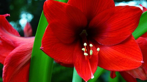 T’RUIH T’NGAY 6/5/2022