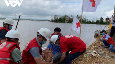 Xay bhrợ dự án zooi zúp đấh hân đoọng ha đhanuôr zr’lụ crêê lưm Covid-19 chr’nắp 1 ực đô la Mỹ