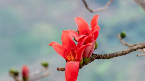 T'RUIH PA XUL T'NGAY 12-2-2022