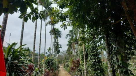 Râu liêm pr’hay bhươl cr’noon t’mêê coh chr’hoong da ding k’coong Nam Đông, Thừa Thiên Huế