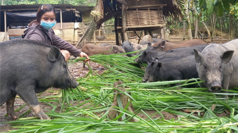 Ađoo bha lâng âng pân đil chr’val ta béch bh’rợ k’tiêc k’ruung, zay bh’rợ coh đong