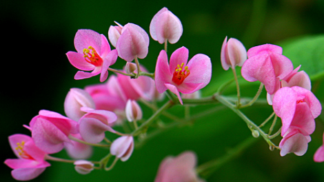 T'RUIH PA XUL T'NGAY 6-3-2022