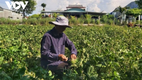 Quảng Nam t’bhưah cr’nọo bh’rợ bhươn mẫu chr’năp kinh tế dal