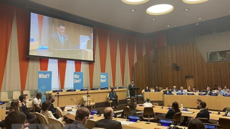 Việt Nam chăp hơnh râu zup zooi âng apêê đối tác lâng pr’zơc bha lang k’tiêc coh bh’rợ bhr’lậ râu bil hư âng bom mìn