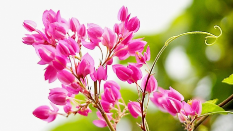 T’RUIH T’NGAY 6/6/2022