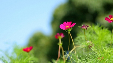 T'RUÍH PHÁT THANH T'NGAY 29-11