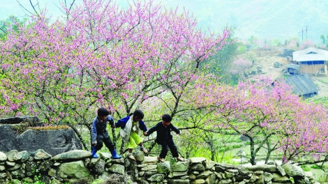 T'RUIH PHÁT THANH T'NGAY 05/02/2017