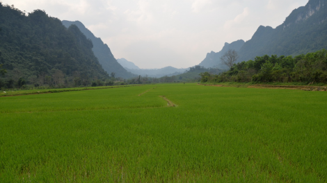 Tr’xăl coh vel đong âng đhanuôr Rục