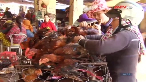 Quảng Ngãi: Ma nuýh băn a tứch a đha bil bal bấc tu pr’lúh cúm