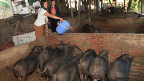 A moó Lò Thị lả bhrợ cha tơợ bhrợ t’bhứah bh’rợ băn a óc