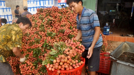 Bấc râu cắh âi liêm crêê đhị bh’rợ bhrợ pa dưr thương hiệu bh’nơơn bh’rợ yêm la lay cóh Việt Nam