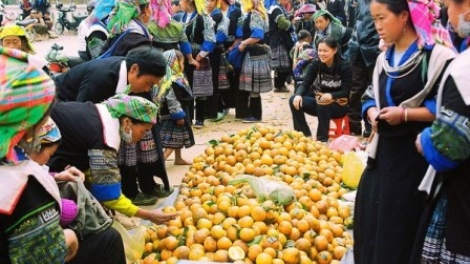 Rau liêm crêê âng chr’na đha nắh đhị zr’lụ da ding k’coong Yên Bái dzợ bấc rau ng’k’rang.​