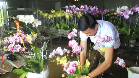Kon Tum: C’la nang chr’nóh Măng Đen cắh zấp pô đoọng đơơng âng ha t’mooi