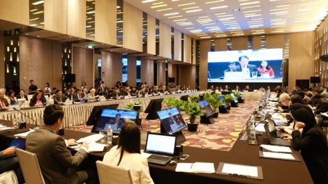 Tợơp bhrợ têng Hội nghị quan chức cấp dal g’lúh 1-APEC 2017