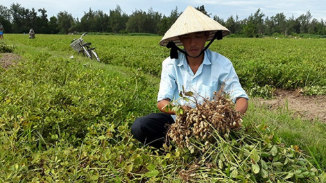 Quảng Nam lêy cha’mêết tr’xăl tơơm chr’nóh zêl cha’groong lâng p’răng xơớt