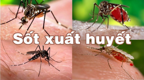 Muy cha nắc manuýh k’ăy lấh chêết bil tu k’hiir plóh aham