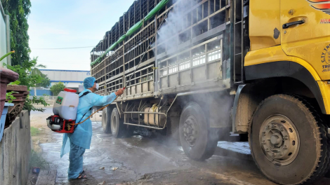 Quảng Nam: Pr’lúh pr’zuốh châu Phi cóh a’ọc nắc ơy tước zr’lụ da ding k’coong