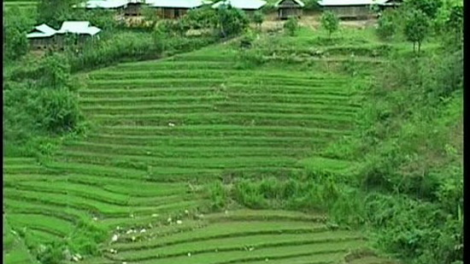 Tây Giang: đoọng vặ lấh 118 tỷ đồng đoọng pa dưr bh’rợ tr’nêng