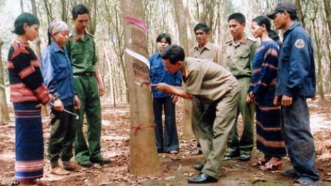 Zâp hội đoàn thể lướt đh’rứah lâng manứih đha’rứt cóh Nam Trà My