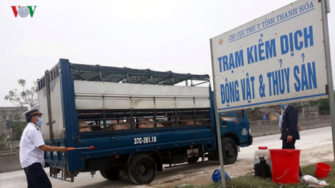Thanh Hoá: Pr’lúh pa zrúah a óc châu phi dưr váih cóh pazêng 27/27 chr’hoong, thị xã, thành phố