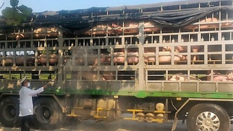 Đà Nẵng: Lêy cha mêết nhâm mâng bhiệc âng đơơng a’ọc đhị vel đông