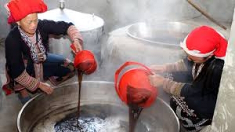 Coz phính miền Việt Nam nhây lầy tzình páo dung thứ 6 hoi 04.12.2015