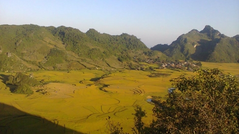 Ziêm tóng liệp tzèng chi bộ đảng hải ziêm Sơn La Sanhz