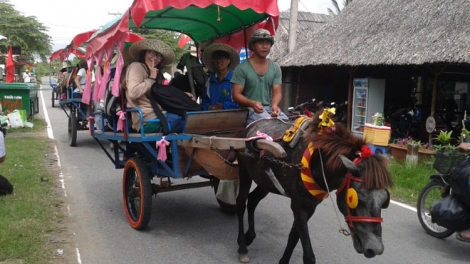 Lổng mà thia mình tham quan