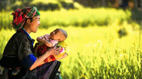 Coz phính miền Việt Nam nhây lầy tzình páo dung thứ 6 hoi 23.12.2016