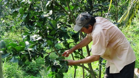 Đại Minh, Yên Bái: muối kếu piều cồm thính miền màn tzấu pút tzòi