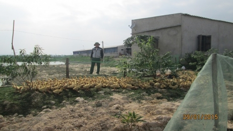 Làn láng tziêuz lún tuz múa tỏi xiến hamz