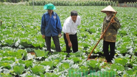 Âu Lâu thấy liệp Đảng cáp kếu phát héng nhnàng khzun