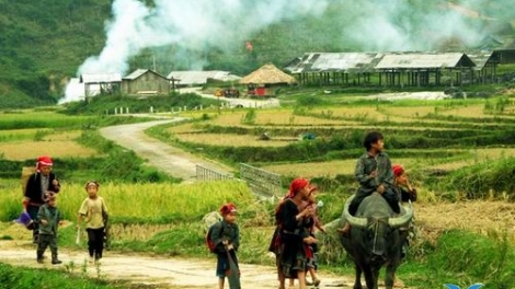 Phai paz nhây phiến