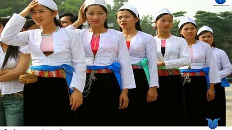 Coz phính miền Việt Nam nhây lầy tzình páo dung thứ 6 hoi 20/10/2017