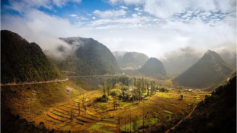 Phai paz nhây phiến