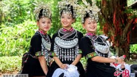 Coz phính miền Việt Nam nhây lầy tzình páo dung thứ 6 hoi 03.11.2017