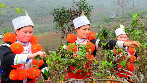 Lầy tzình páo dung Chủ nhật hoi 17/12/2017