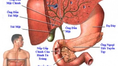 Miền púng vìa pẹ pến nhản coz nhủng piêuz cam phai mayz pến nhản