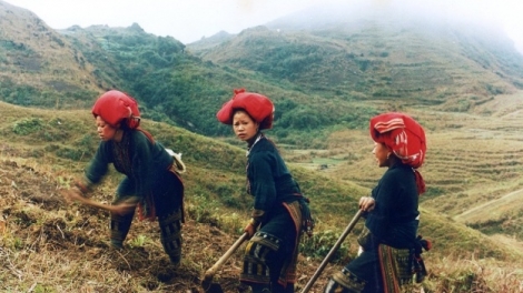 Bùng tangz lảnh cờ náy nhản dào hấy hoi