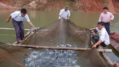 Tzính sâu pong thính doanh nghiệp mái mải