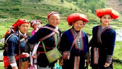 Coz phính miền Việt Nam nhây lầy tzình páo dung thứ 3 hoi 04.7.2018